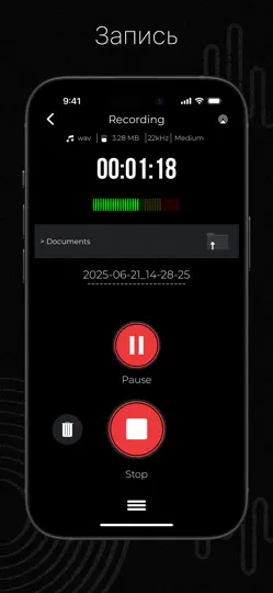 Скриншот Диктофон: Очиститель на iPhone 3