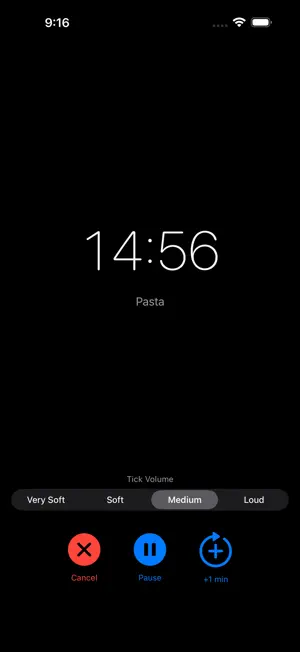 Simple Timer USA screenshot 1