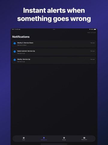 Monity.dev iPad screenshot 4