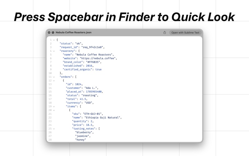 OK JSON - Viewer & Formatter iPhone screenshot