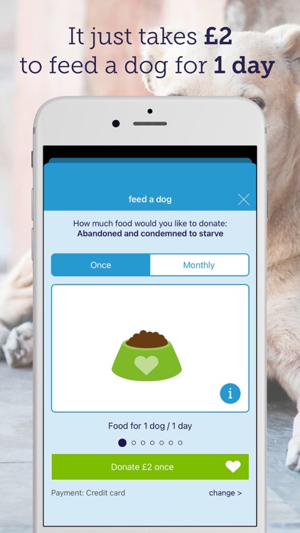 feed a dog: animal welfare