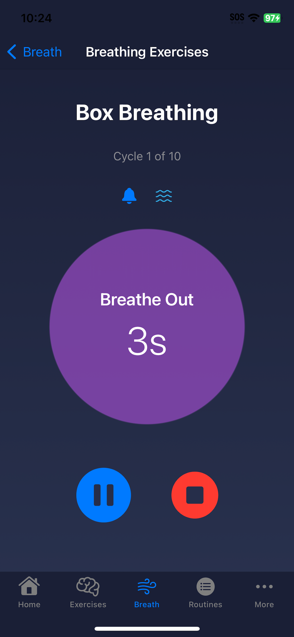 Pulse To Peace screenshot 3