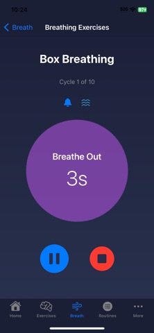 Pulse To Peace screenshot