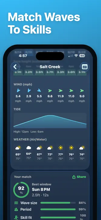 SurfIQ screenshot 3