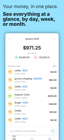 Money Manager: Cash Book iPhone screenshot