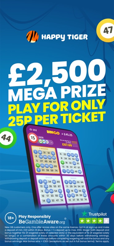 Happy Tiger: Bingo & Slots screenshot 7