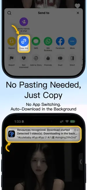 ClipDock: Web Video Downloader screenshot 2