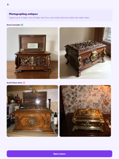 Plastique - Antique Identifier screenshot 8