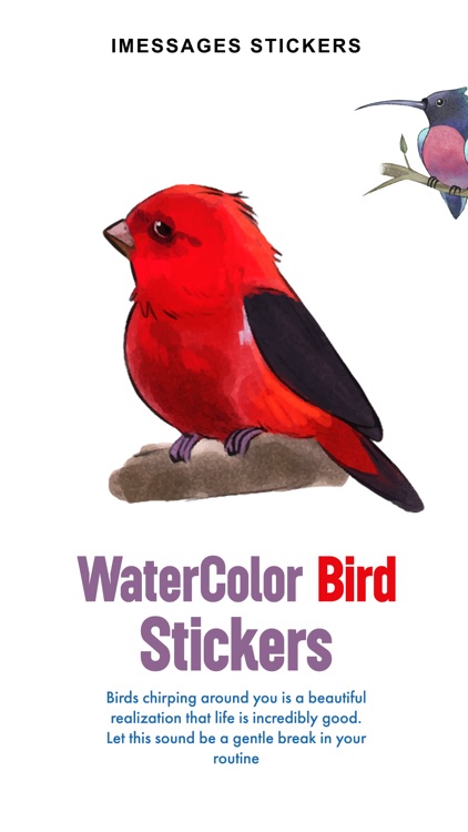 Watercolor Birds Stickers