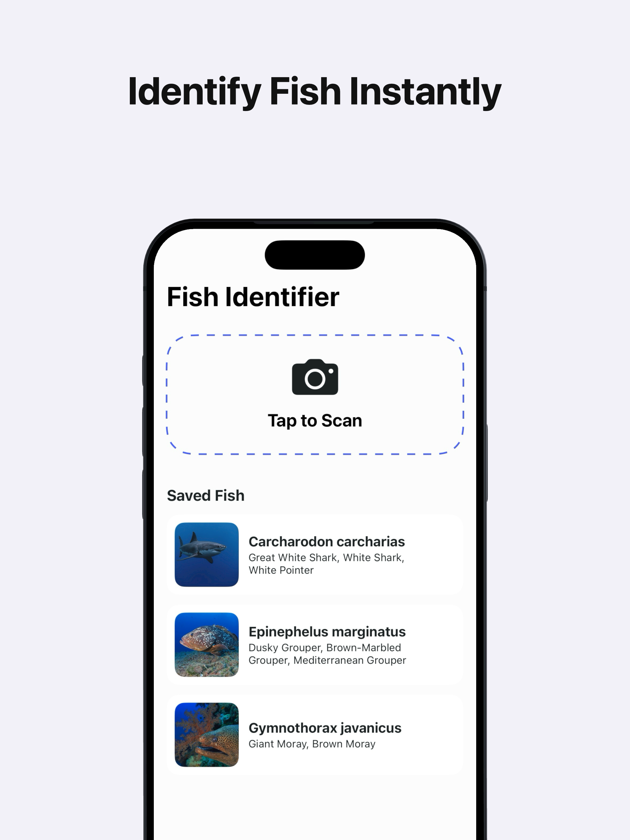 AI Fish Identifier by Photo screenshot 5