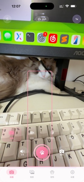 【图】喵汪咔嚓相机(截图1)