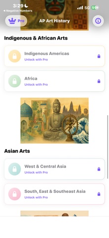 AP Art History Quiz & Notes iPhone screenshot