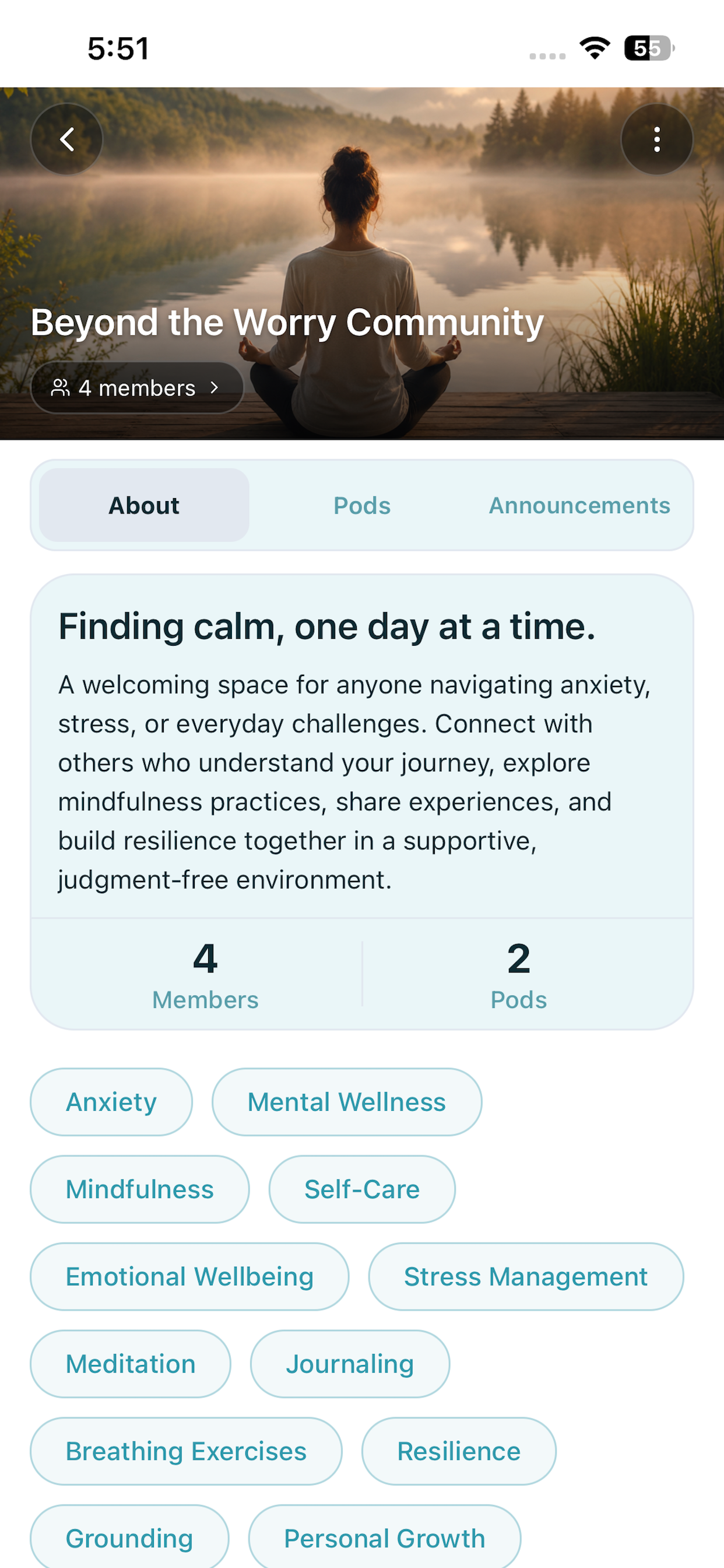 OneSpaceAi: Wellness Companion screenshot 10
