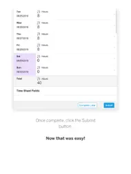 SAP Fieldglass Time Entry ipad bilder 3