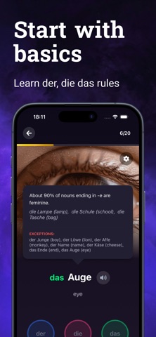 der Artikel: der die das Pro screenshot
