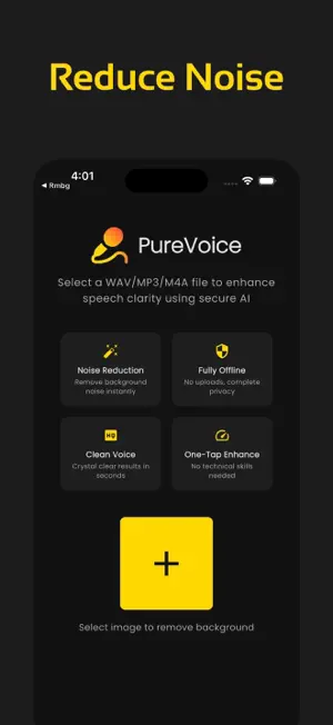 Noise Reducer, PureVoice screenshot 1