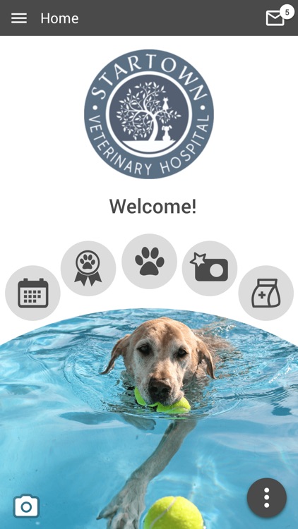 Startown Veterinary Hospital