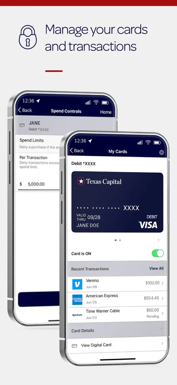 Screenshot #2 pour Texas Capital Mobile