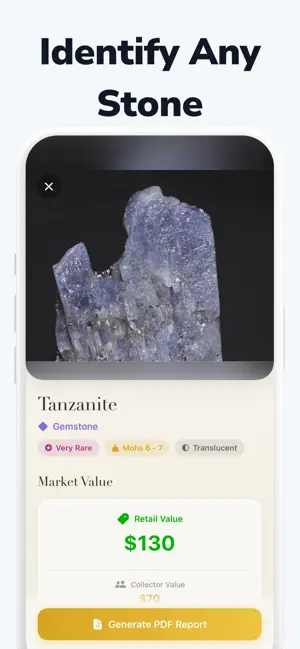 Stone Identifier AI Rock Scan screenshot 1