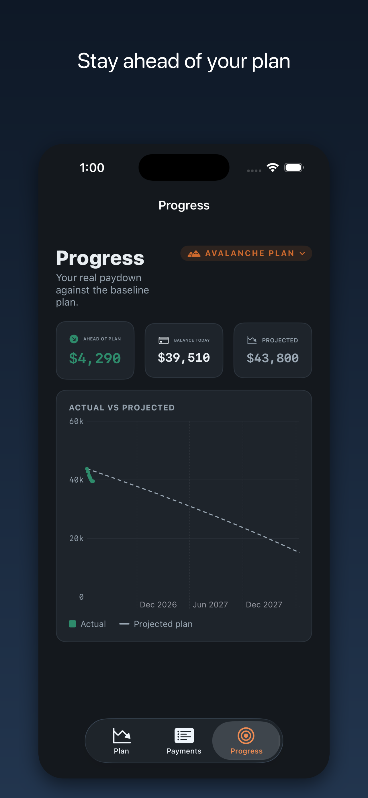 Debt Descent: Payoff Planner screenshot 9