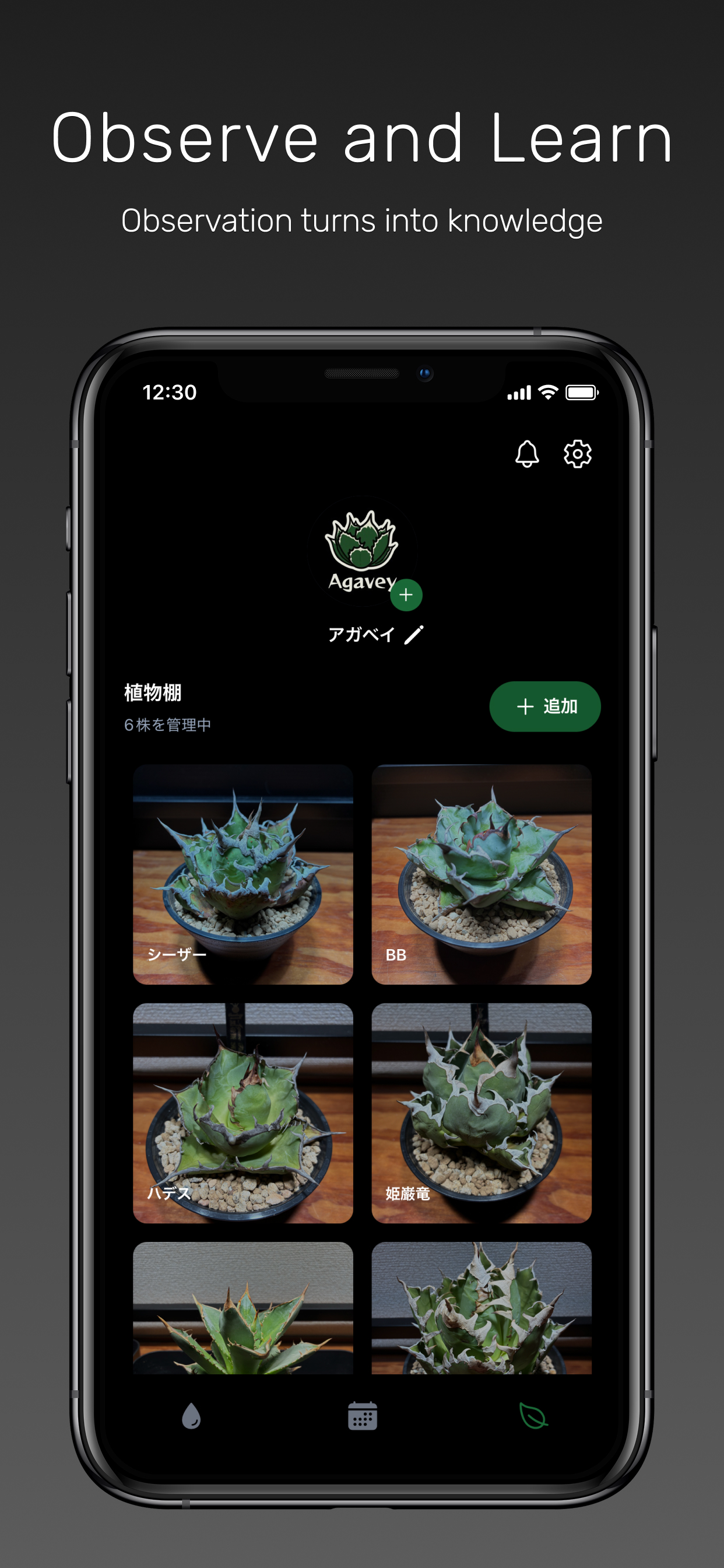 Agavey: Agave & Caudex Tracker screenshot 3