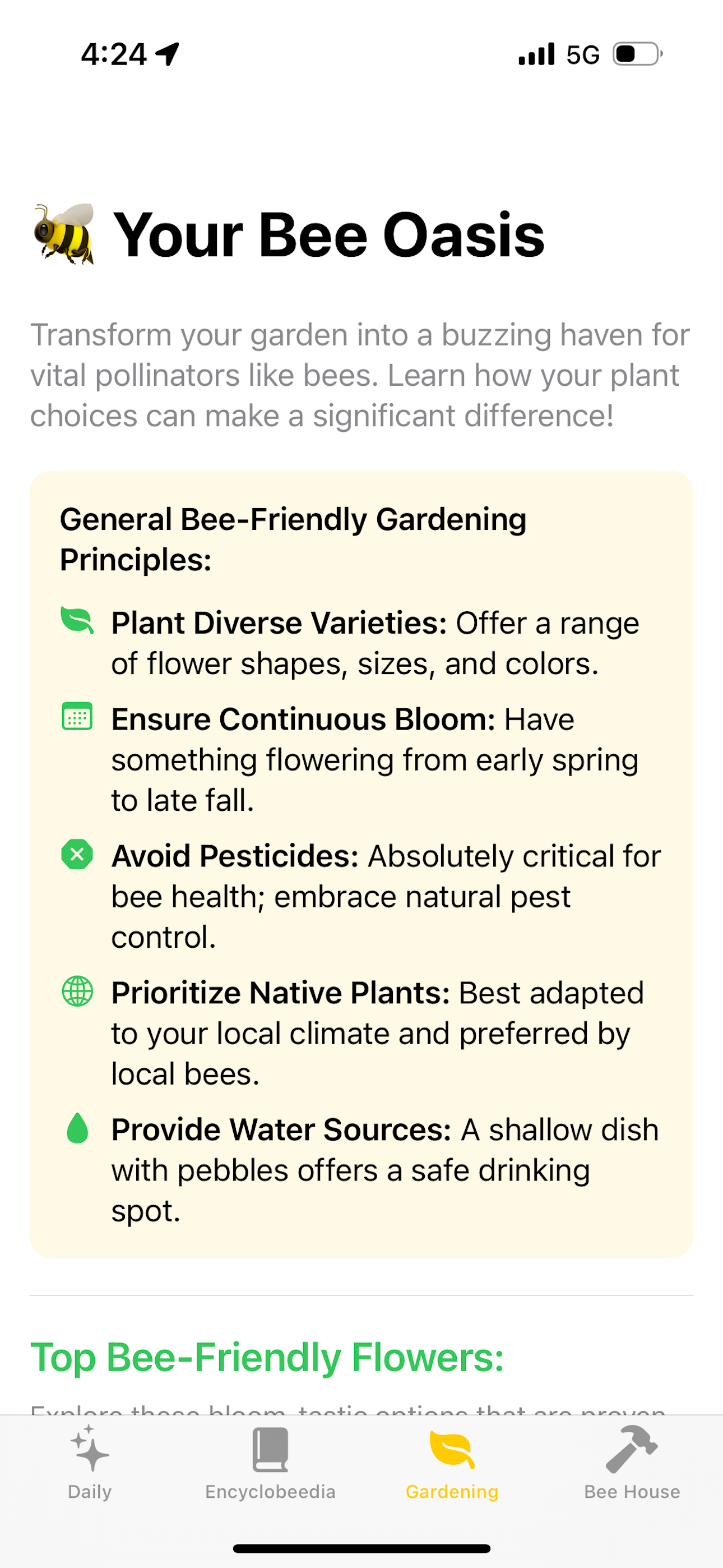 Bee Facts - Nature Knowledge