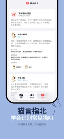 拍猫相机 - 猫咪拍照助手 吸猫 猫眼 哈喽麻豆 screenshot