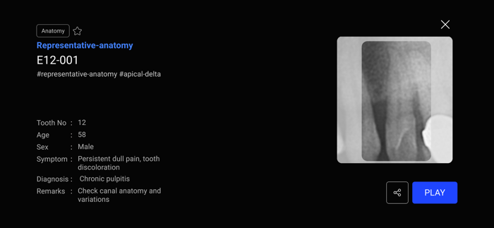 Dental InsightMaster