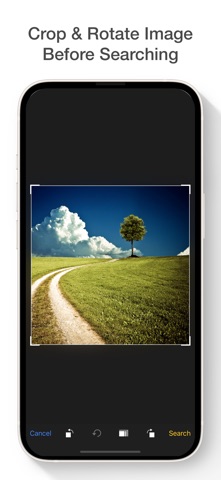 Reverse Image Search iPhone screenshot