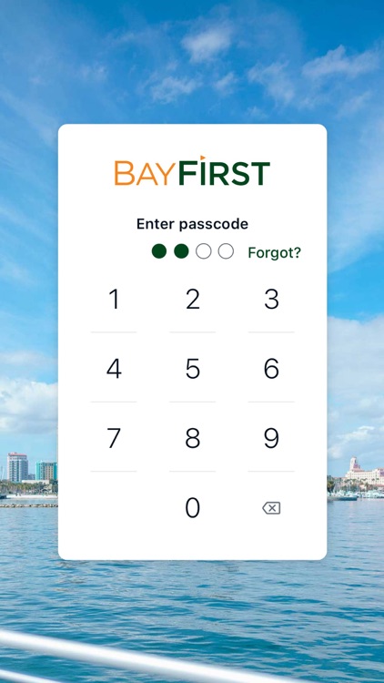 BayFirst National Bank