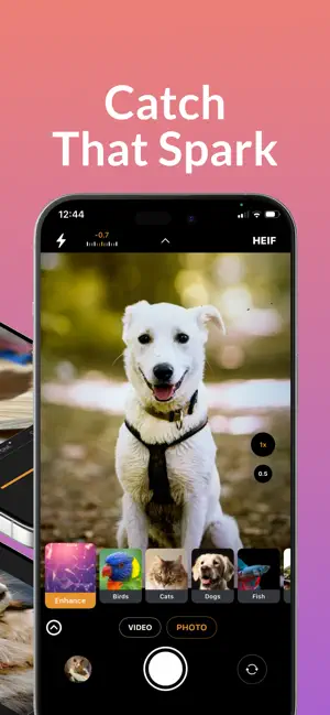 Pet Al: Photo & Video Editor screenshot 3