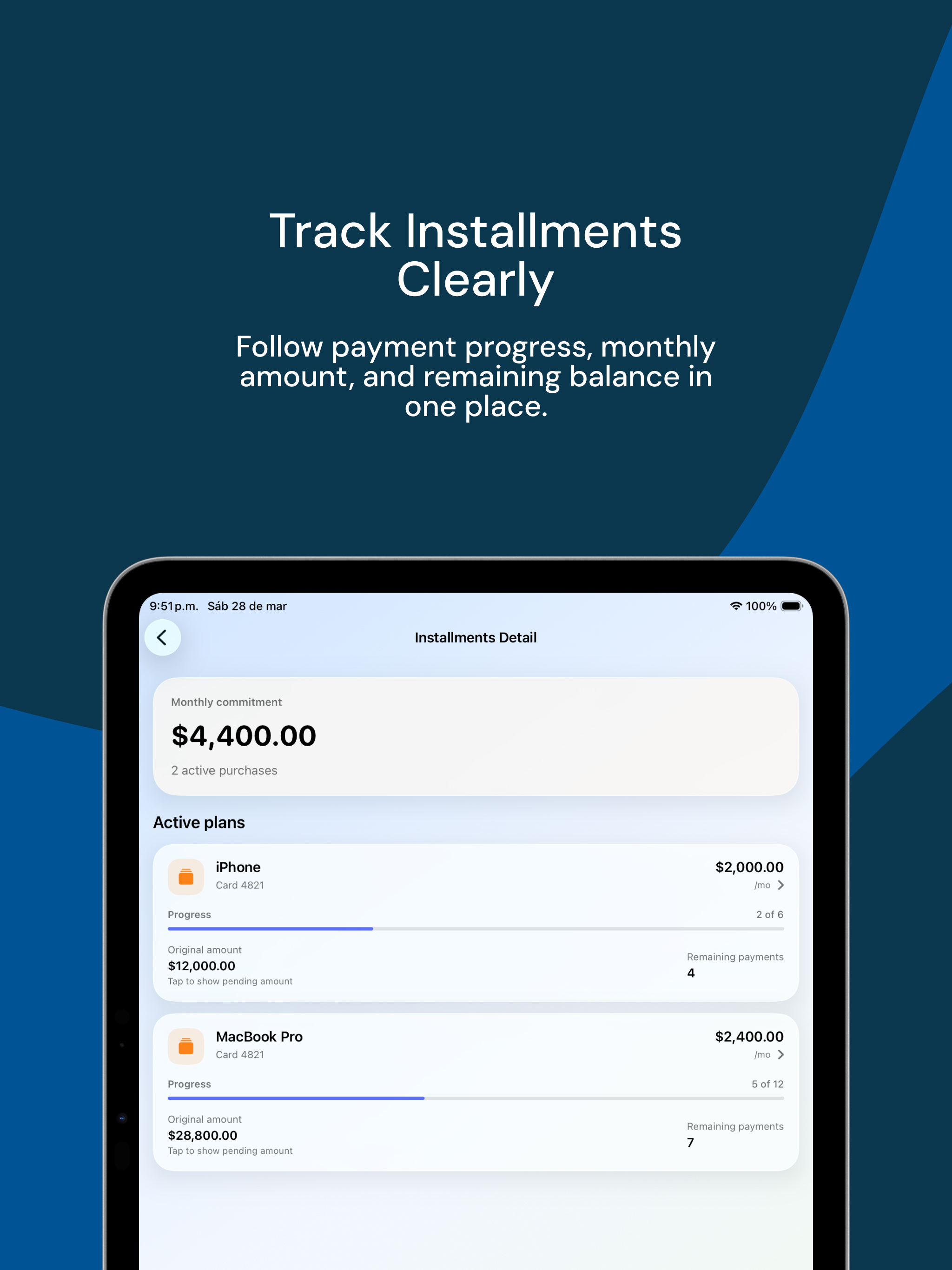 WiseSpend: Credit Flow