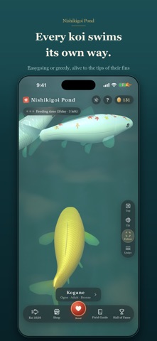 Nishikigoi Pond Screenshot 4 of 8