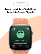 StressBoard 1