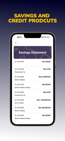 NewFortis Sacco screenshot