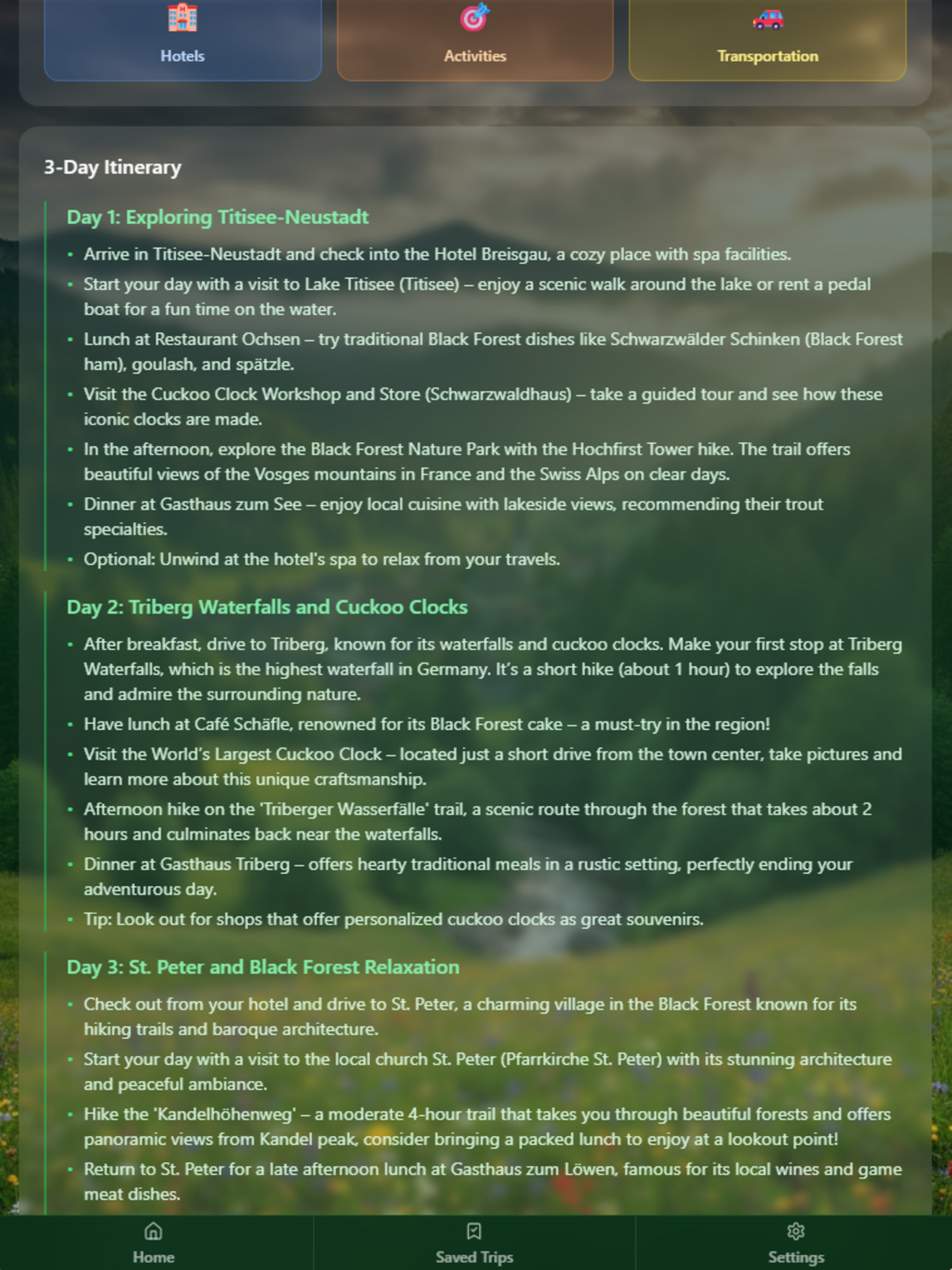 Black Forest Guide - Trip Plan