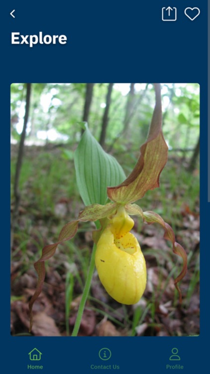 MN State Parks and Trails GO screenshot-4