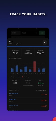 KISS Budgeting screenshot