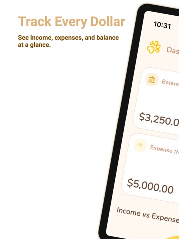 Budget Expense App - Okaneko iPad screenshot