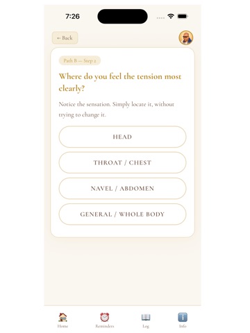 Advaita 222 Self Inquiry iPad screenshot