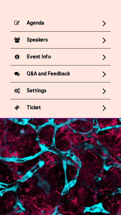 Roche Commissions 2024