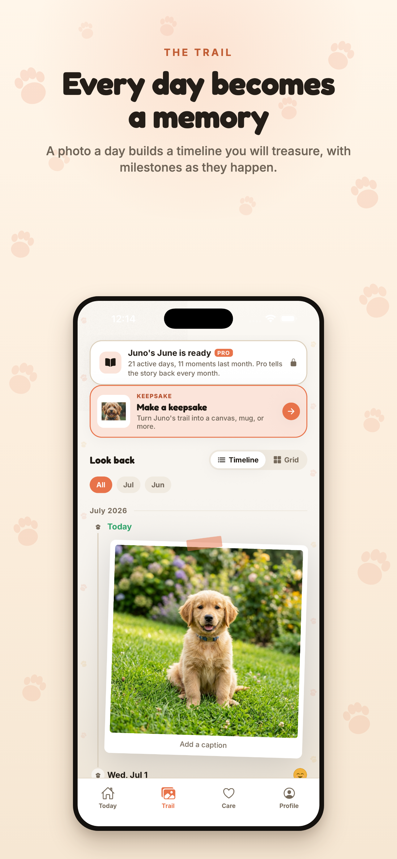 Marrow: Dog Diary