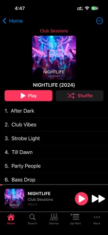 LocalSongs screenshot