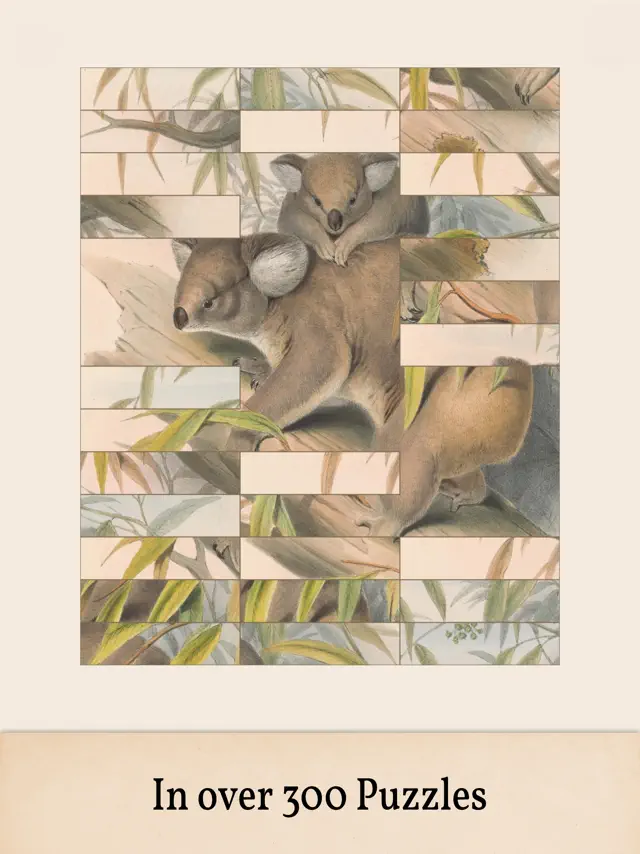 screenshot10