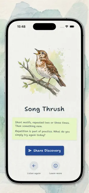 One Bird A Day screenshot 3