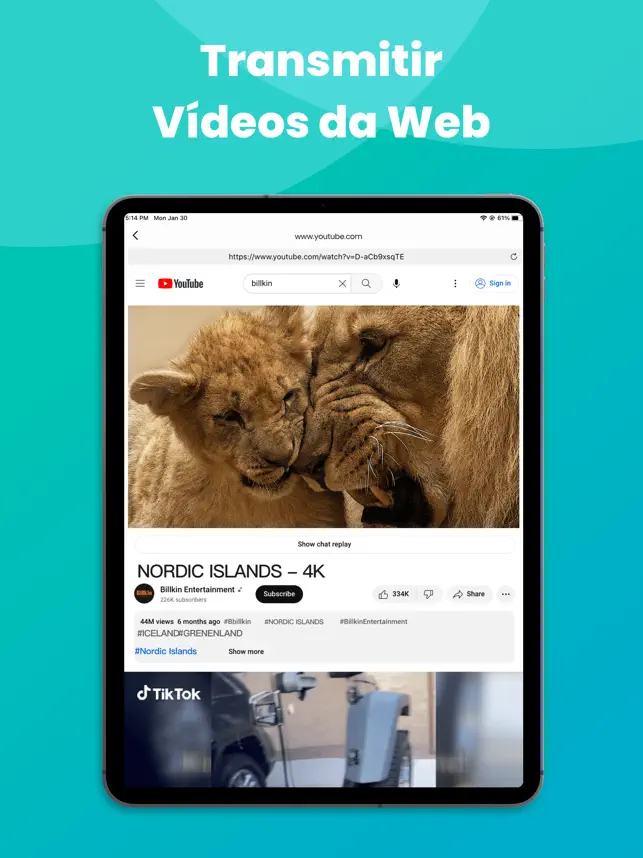 Espelhamento de tela - TV Cast_4