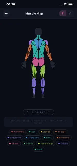 GymBelt screenshot 3