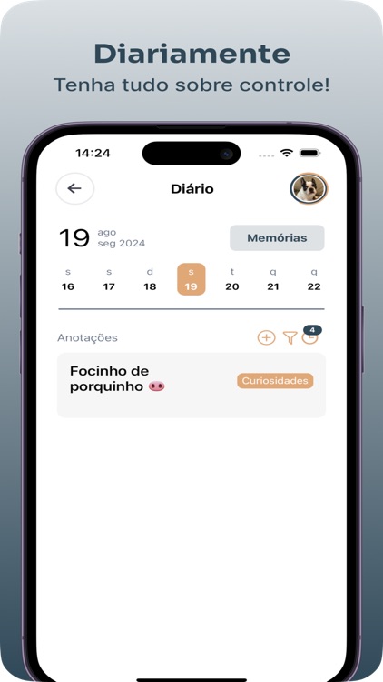 DailyPet: Cachorro e Gato