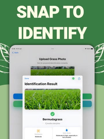 Grass Identifier - AI Scanner iPad screenshot