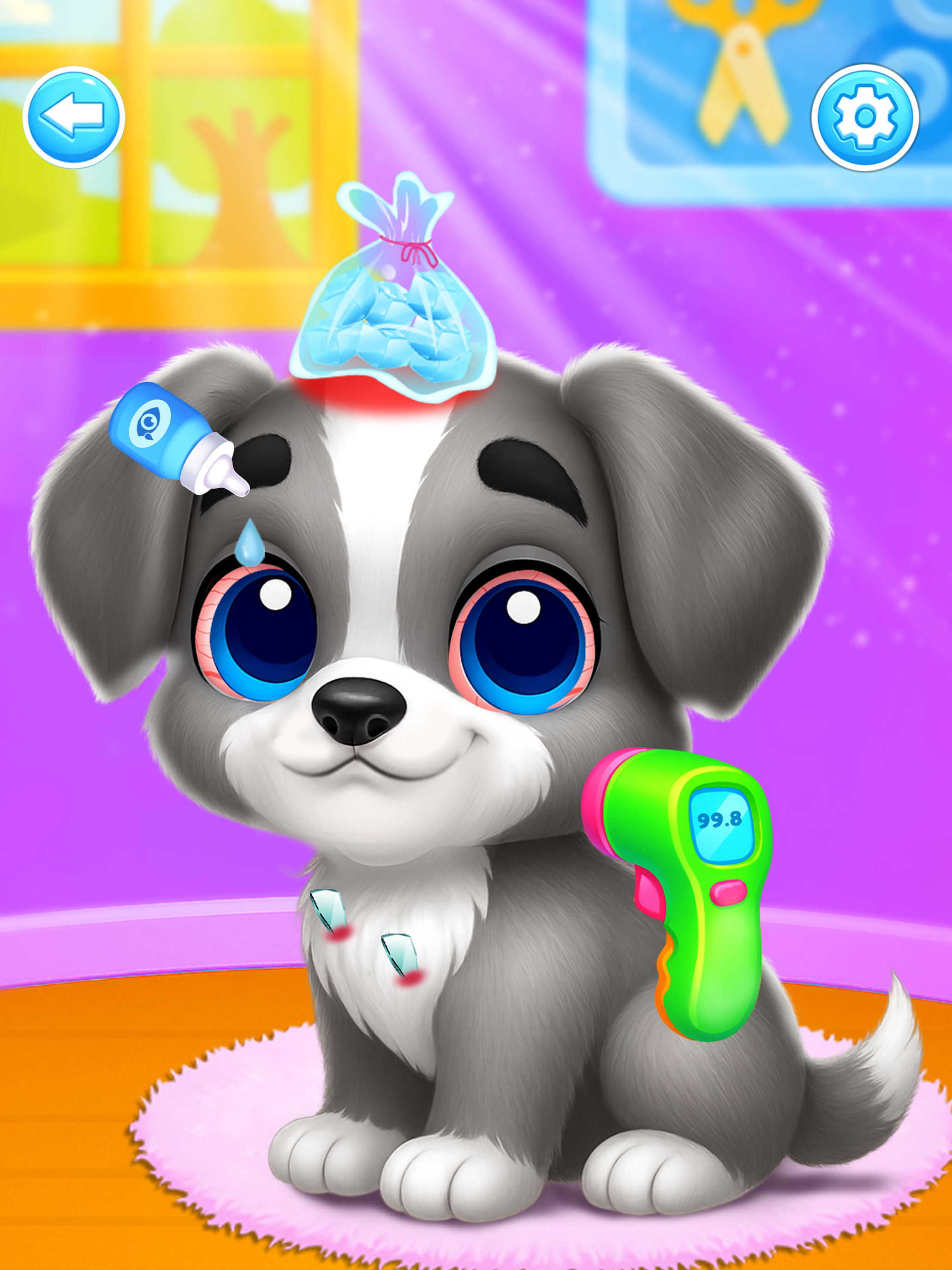 Happy Dog Pet Daycare Salon